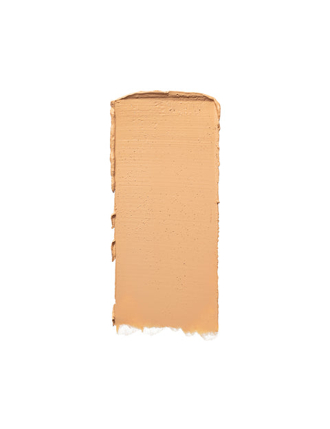 Touch Up Concealer