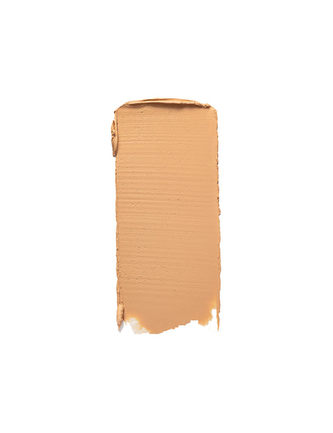 Touch Up Concealer