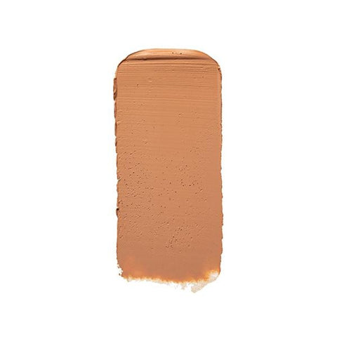 Touch Up Concealer